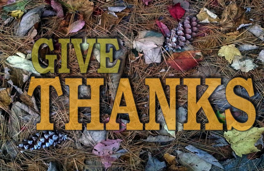 What are You Thankful For?