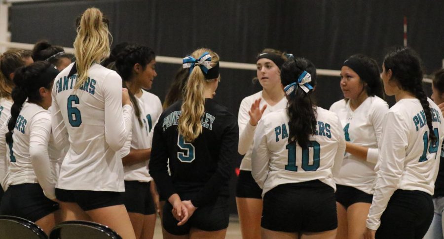 Panther Volleyball Edged Out by Warriors