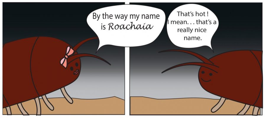 The Cucaracha