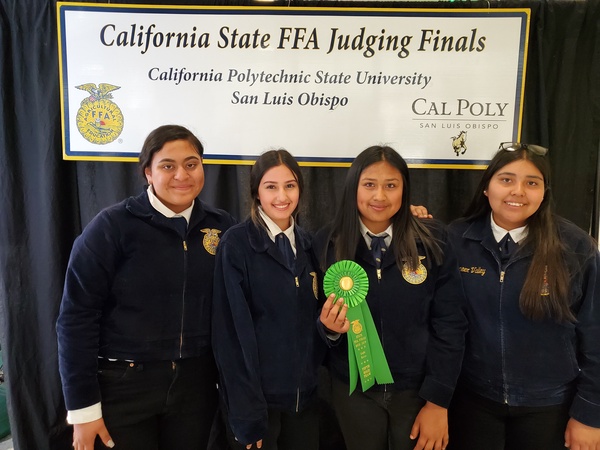 PV Light Horse Team Places at Poly