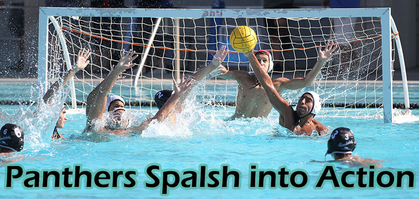 PVHS Polo Packs A Punch!