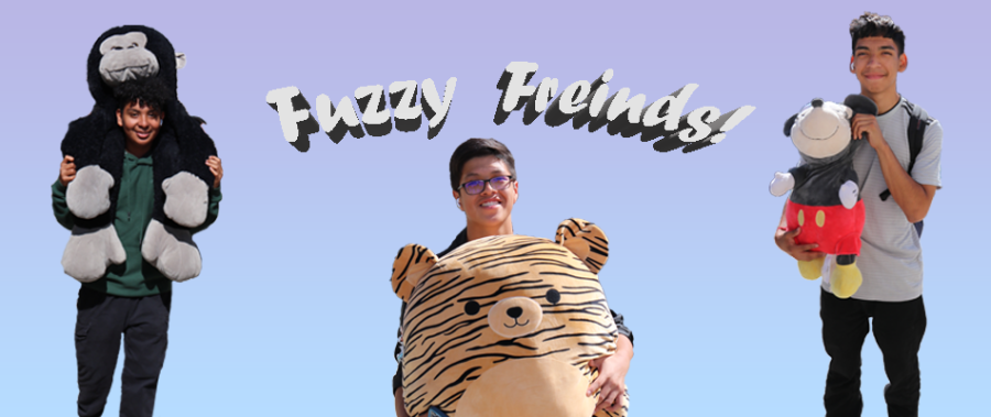 Fuzzy+Friends